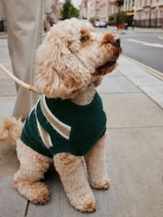Green Stripe Knitted Pet Jumper - Image 2 of 9