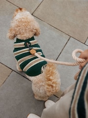 Green Stripe Knitted Pet Jumper - Image 3 of 9