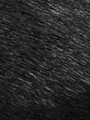 COACH Black Sculpted C Pony Hair Soft Shoes - Image 7 of 7