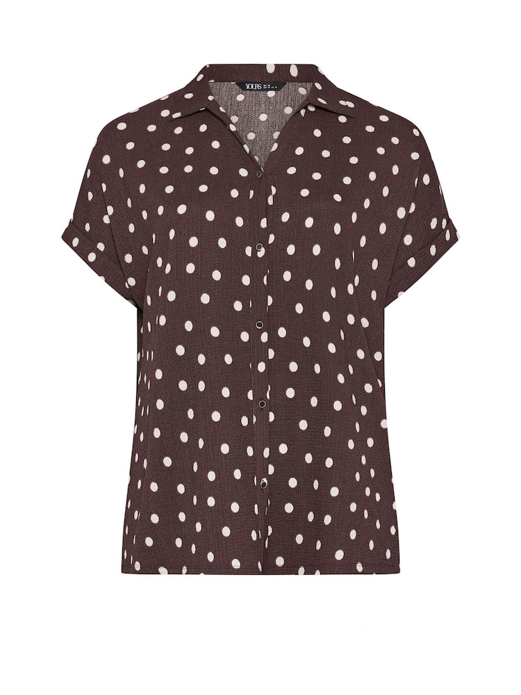 Yours Curve Brown Grown On Shirt - Image 5 of 5