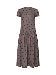 PixieGirl Petite Brown Blue Spot Drop Waist Midaxi Dress - Image 5 of 5