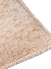 Paoletti Oyster Lustre Velvet Fibre Filled Cushion - Image 4 of 5