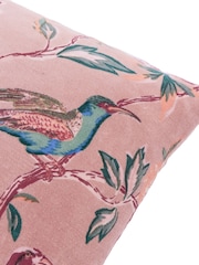 Wylder Blushed Rose Aviary Cotton Velvet Fibre Filled Cushion - Image 4 of 4