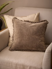 Yard Chocolate Bertie Cotton Velvet Feather Filled Cushion - Image 1 of 5