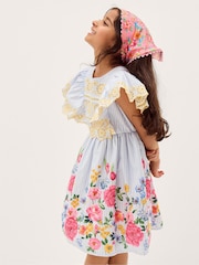 Monsoon Blue Floral Stripe Broderie Sleeve Dress - Image 1 of 1