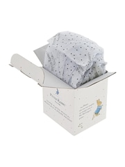 Peter Rabbit Silver Christening Musical Box - Image 3 of 5