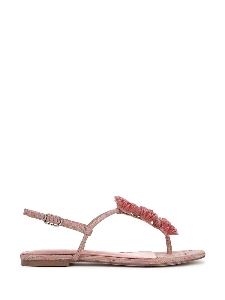 Sam Edelman Pink Eliza Regular Fit Toe Post Sandals - Image 1 of 7