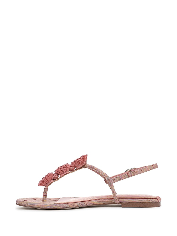 Sam Edelman Pink Eliza Regular Fit Toe Post Sandals - Image 2 of 7