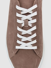 بني فاتح - حذاء رياضي جلد مقلوب بقبة منخفضة Finley Nubuck من Reiss - صورة 5 من 5