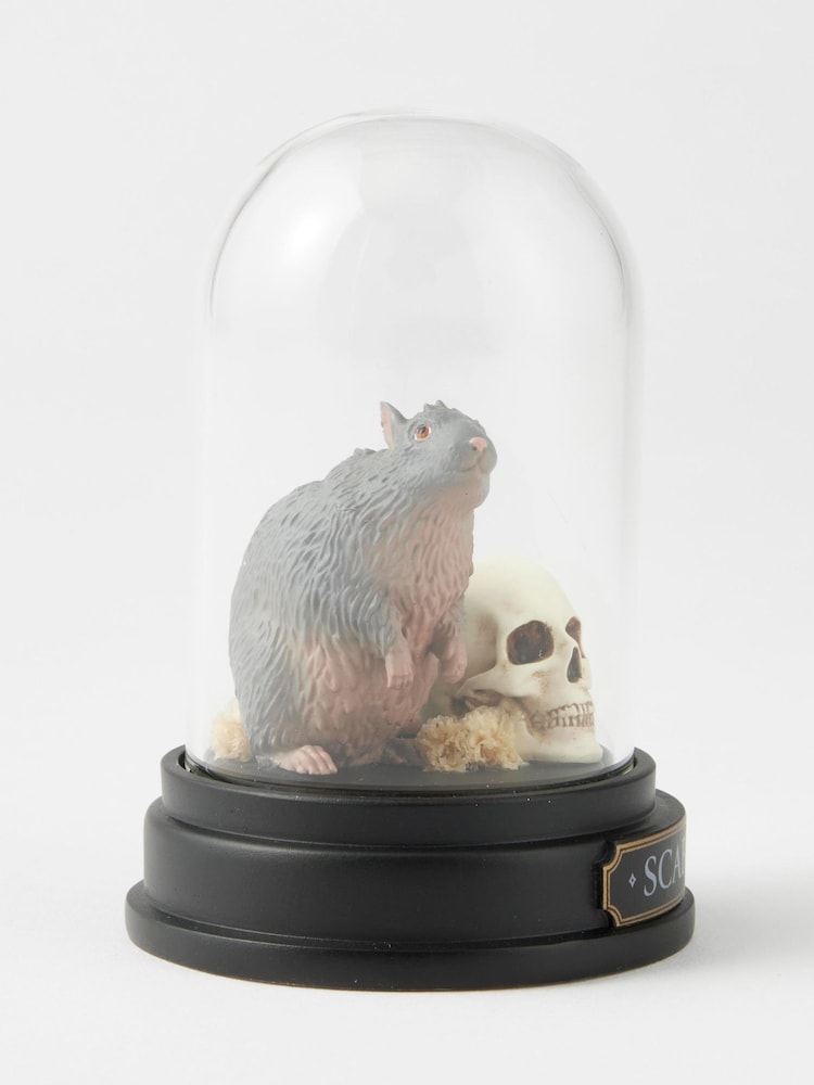 Harry Potter Multicolour Scabbers Curiosity Cloche - Image 6 of 6 Harry Potter Multicolour Scabbers Curiosity Cloche - Image 6 of 6