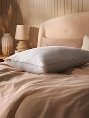 Sleepeezee Sumptous Cotton Pillow - Image 1 of 9