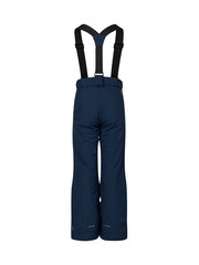 Asul - Dare 2b Outmove III Insulated Waterproof Trousers - Larawan 3 ng 4