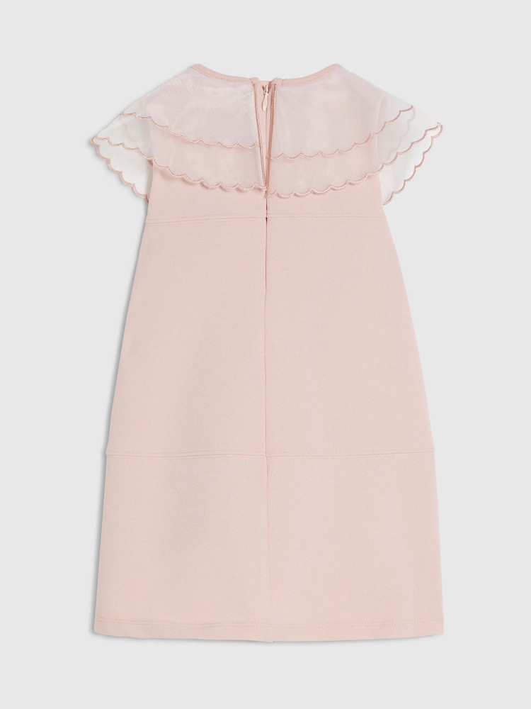 River Island Organza Collar Scuba Dress - תמונה 2 מתוך 4