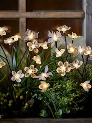 Lights4fun Multi Warm White Solar Flower/Bee/Butterfly Stakes - Image 1 of 2