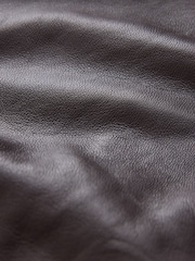 CERENE Wren Chocolate Brown Real Leather Funnel Neck Jacket - Image 11 of 12