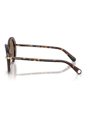 Swarovski Brown 0Sk6059 Butterfly Sunglasses - Image 5 of 5