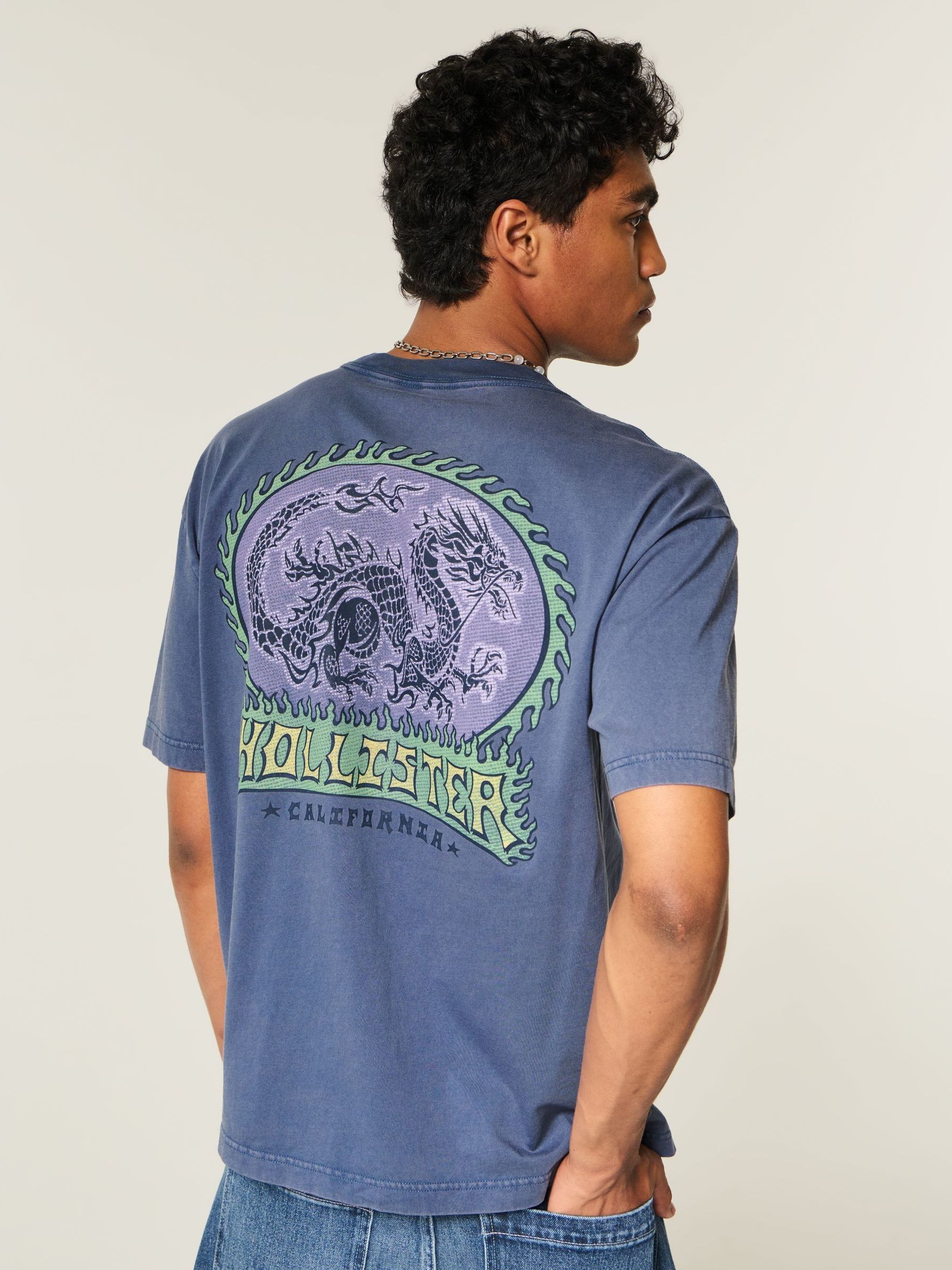 Buy Hollister Blue Surf and Skate Print T-Shirt from Next Romania