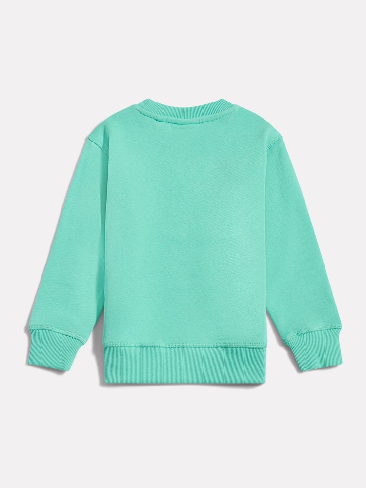 Зелений - New Balance FT Small Logo Crew Neck Sweat Top - Image 2 of 3