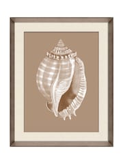Brookpace Lascelles Beige/Brown Shell V' Wall Art in Deep Frame - Image 2 of 4