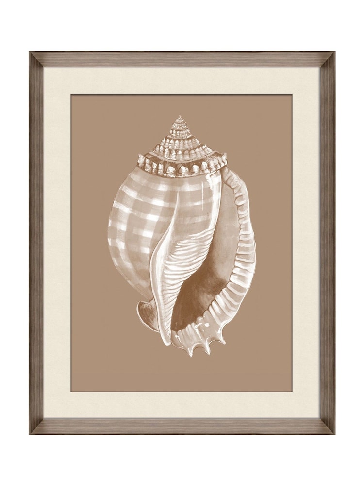 Brookpace Lascelles Beige/Brown Shell V' Wall Art in Deep Frame - Image 2 of 4