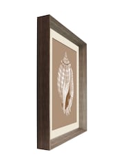 Brookpace Lascelles Beige/Brown Shell V' Wall Art in Deep Frame - Image 3 of 4