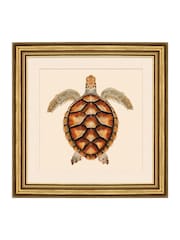 Brookpace Lascelles Brown/Gold Turtle 2' Coastal Wall Art - Image 1 of 4