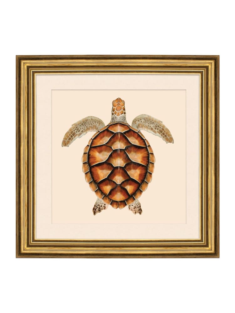Brookpace Lascelles Brown/Gold Turtle 2' Coastal Wall Art - Image 1 of 4