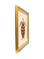 Brookpace Lascelles Brown/Gold Turtle 2' Coastal Wall Art - Image 3 of 4