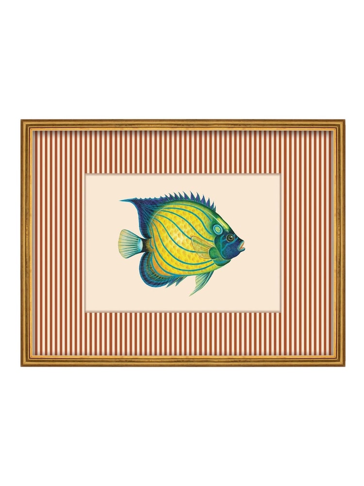 Brookpace Lascelles Red/Gold Tropical Fish IV' Stripy Wall Art in Slim Frame - Image 2 of 4