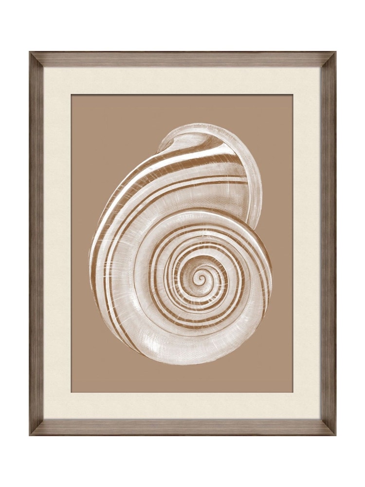 Brookpace Lascelles Cream/Brown Shell III Wall Art in Deep Frame - Image 2 of 4 Brookpace Lascelles Cream/Brown Shell III Wall Art in Deep Frame - Image 2 of 4