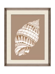 Brookpace Lascelles Beige/Brown Shell VI' Wall Art in Deep Frame - Image 1 of 4