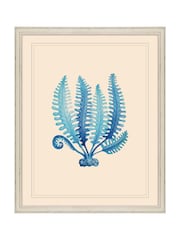Brookpace Lascelles Blue/White Seaweed III' Blue Coastal Wall Art Frame - Image 1 of 4