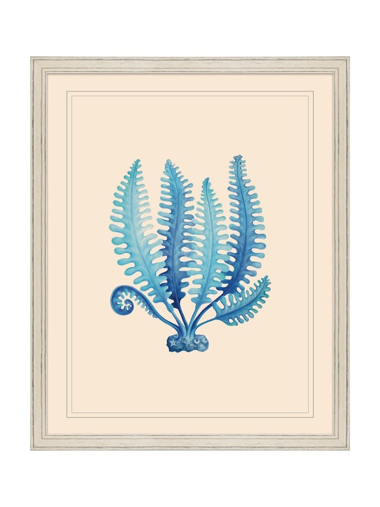 Brookpace Lascelles Blue/White Seaweed III' Blue Coastal Wall Art Frame - Image 1 of 4