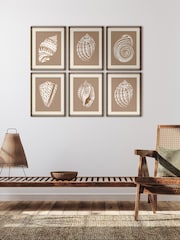 Brookpace Lascelles Beige/Brown Shell IV' Wall Art in Deep Frame - Image 1 of 4