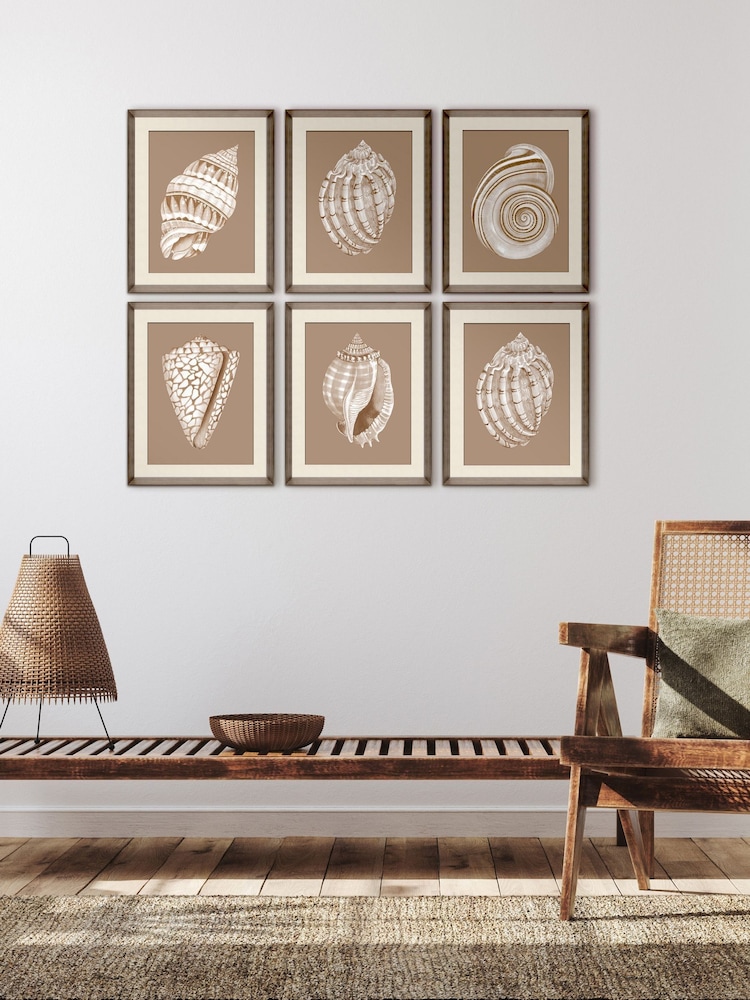 Brookpace Lascelles Beige/Brown Shell IV' Wall Art in Deep Frame - Image 1 of 4