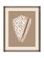 Brookpace Lascelles Beige/Brown Shell IV' Wall Art in Deep Frame - Image 2 of 4
