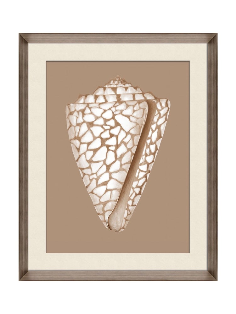 Brookpace Lascelles Beige/Brown Shell IV' Wall Art in Deep Frame - Image 2 of 4