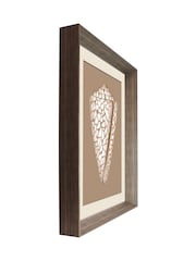 Brookpace Lascelles Beige/Brown Shell IV' Wall Art in Deep Frame - Image 3 of 4