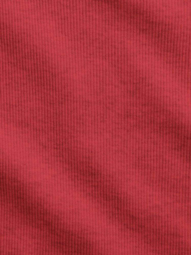 Gap Red Embroidered Rib T-Shirt (4-13yrs) - Image 4 of 4