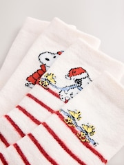 Crème/Rouge - Snoopy Matching Family Christmas Licensed Cosy Ankle Socks 2 Pack - Image 4 sur 5