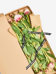 Pink Peonies 10 Stem Letterbox Flower Bouquet - Image 2 of 5
