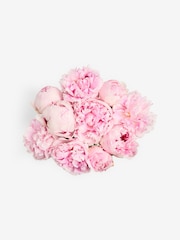 Pink Peonies 10 Stem Letterbox Flower Bouquet - Image 4 of 5
