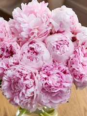 Pink Peonies 10 Stem Letterbox Flower Bouquet - Image 5 of 5
