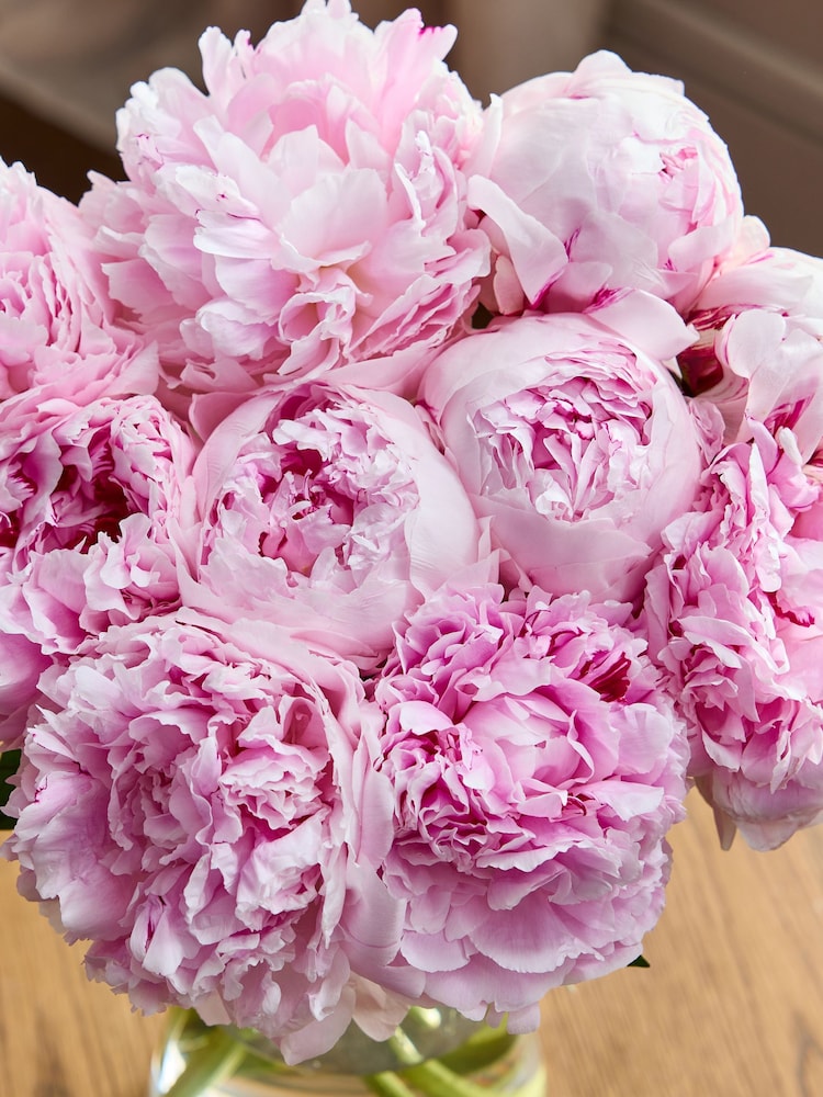 Pink Peonies 10 Stem Letterbox Flower Bouquet - Image 5 of 5
