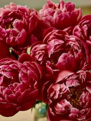 Red Peonies 10 Stem Flower Letterbox Bouquet - Image 2 of 4