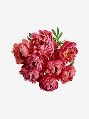 Red Peonies 10 Stem Flower Letterbox Bouquet - Image 4 of 4