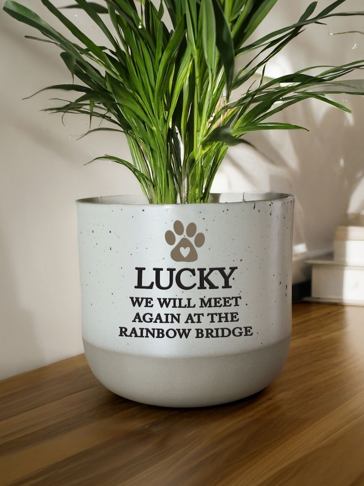 Personalised Personalised Pet Memorial Flecked Plant Pot by PMC - Image 1 of 3