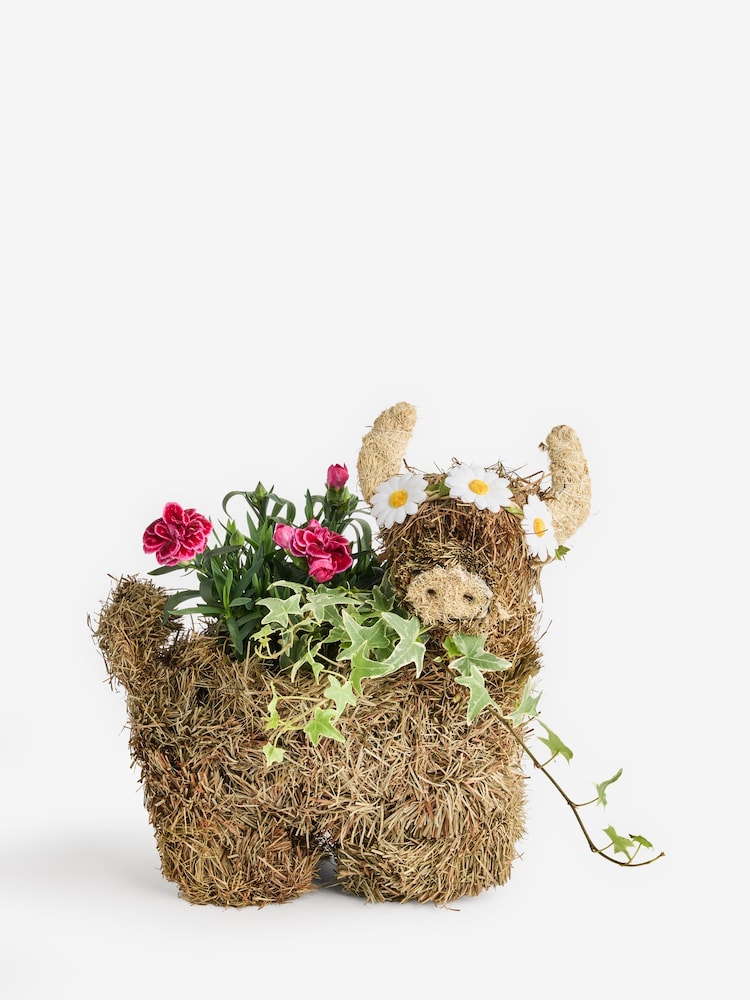 Hamish Highland Cow Sissal Basket - Image 1 of 4