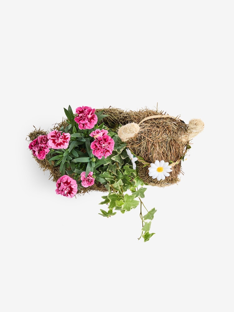 Hamish Highland Cow Sissal Basket - Image 4 of 4