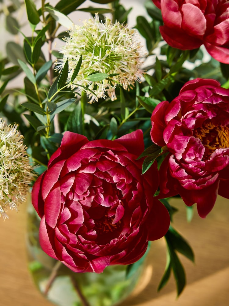 Red Peonies and Allium Flower Bouquet in Gift Bag - Image 2 of 4 Red Peonies and Allium Flower Bouquet in Gift Bag - Image 2 of 4